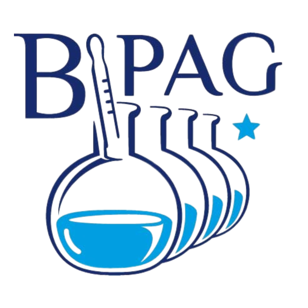 Logo_Bipag